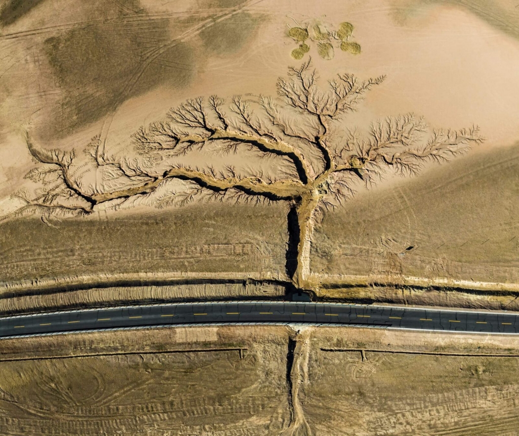 the-nature-conservancy-2022-fotograf-yarismasinin-kazananlari-aciklandi