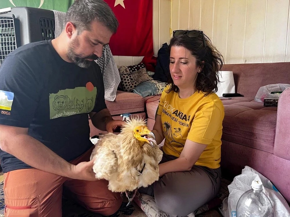 akbaba-midas-1-yilda-32-bin-kilometre-uctu-9-ulke-gezdi