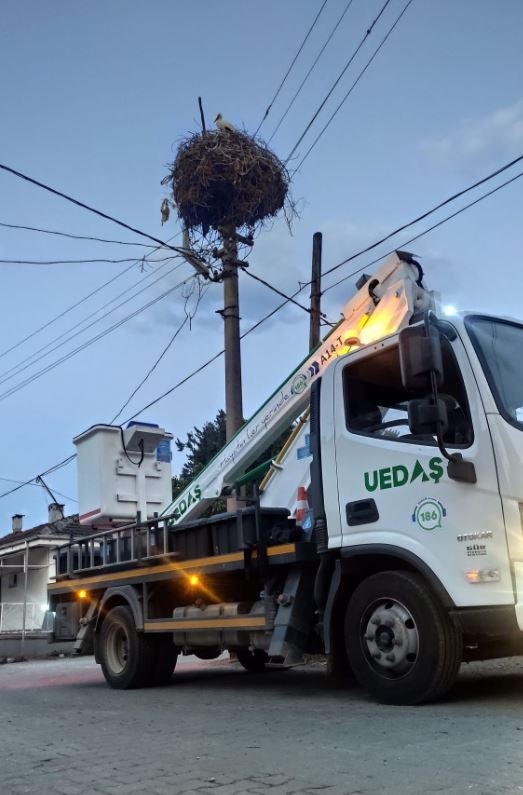 leylek-goc-yollarinda-planli-elektrik-kesintileri