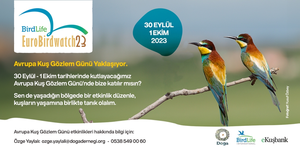 avrupa-kus-gozlem-gunu-yaklasiyor