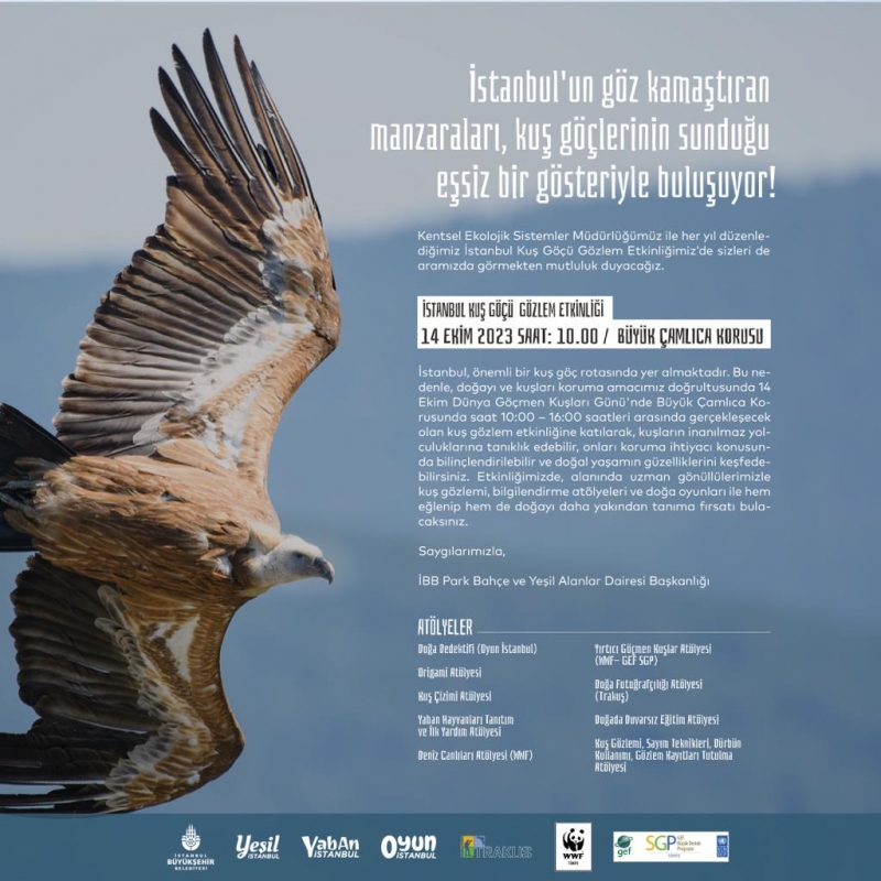 istanbul-kus-gocu-gozlem-etkinligi-