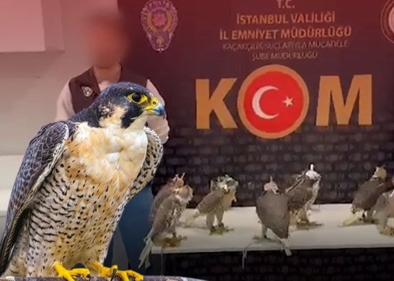havalimaninda-gokdogan-operasyonu!