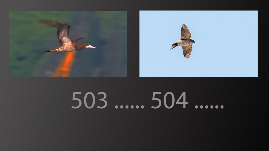 504