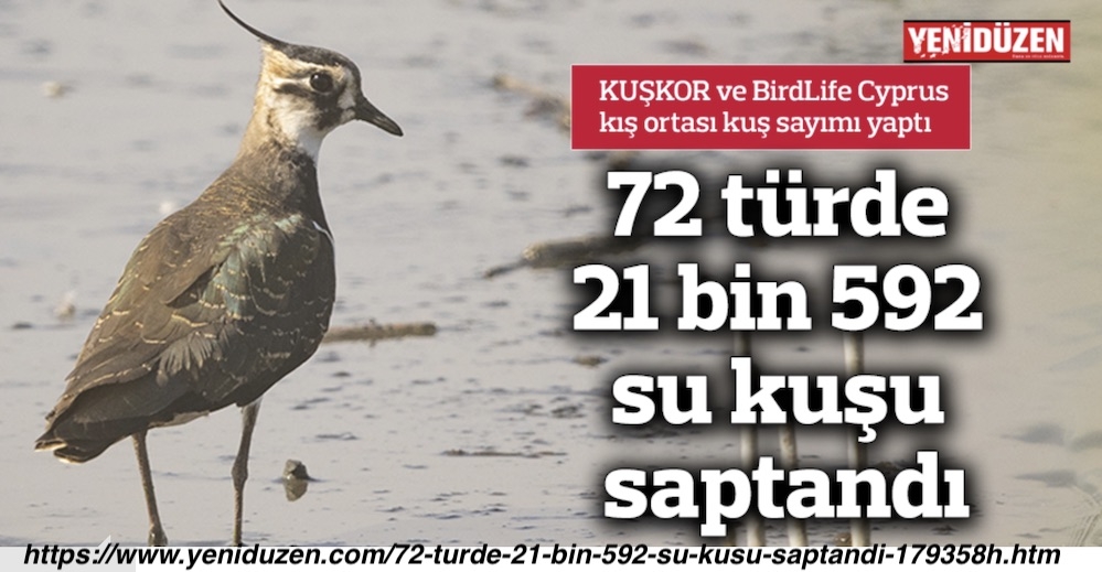 kibris-genelinde-72-turde-21-bin-592-su-kusu-saptandi