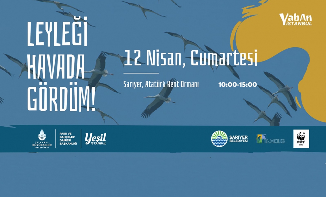 leylegi-havada-gordum