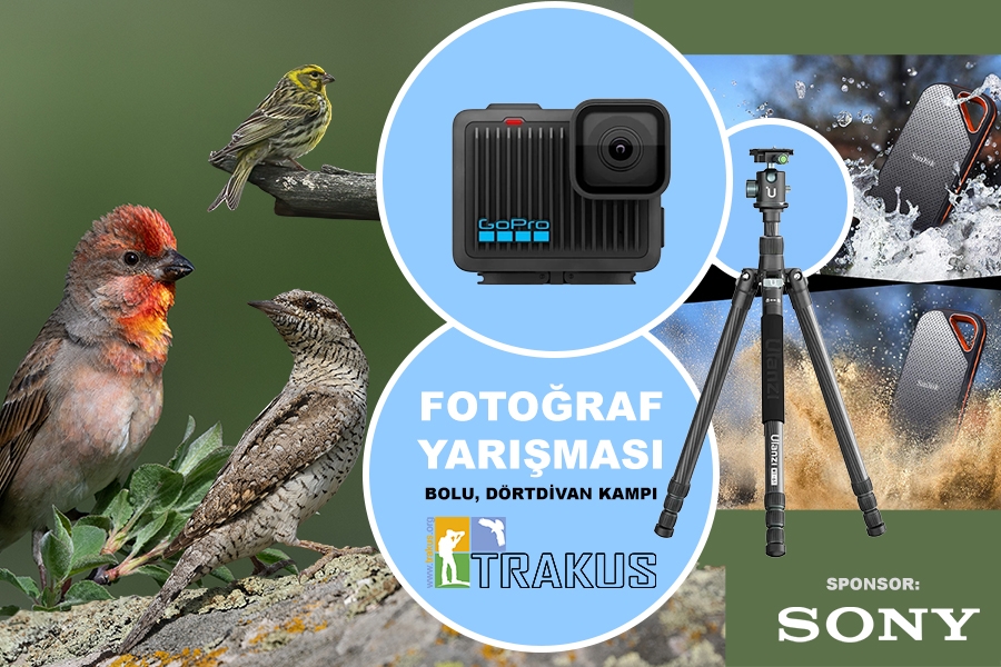 fotograf-yarismasi-sonuclari