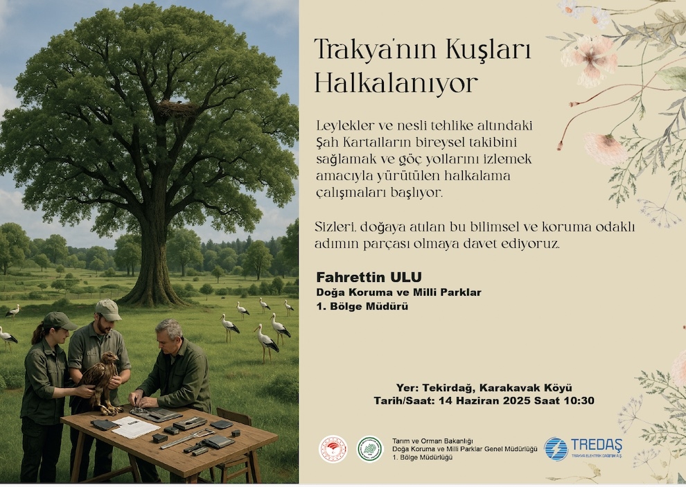 trakyanin-kuslari-halkalaniyor