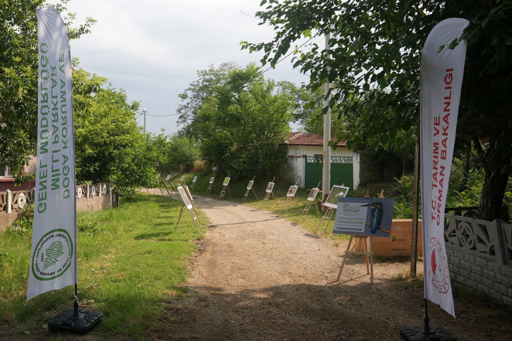 leylek-ve-sah-kartallarin-halkalanmasi-