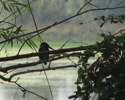 uzun-yillar-sonra-bir-ilk!-izmir-yalicapkini---