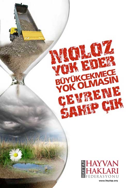 haytap--ibbyi-dize-getirdi-!-