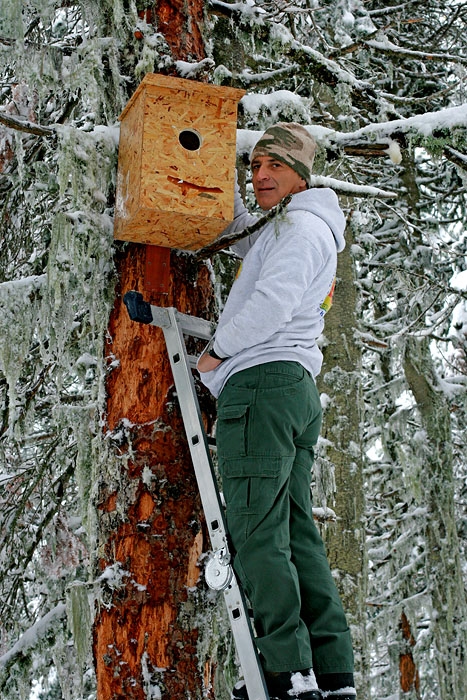 10-bin-pesin-yuva-kutusu-senin!