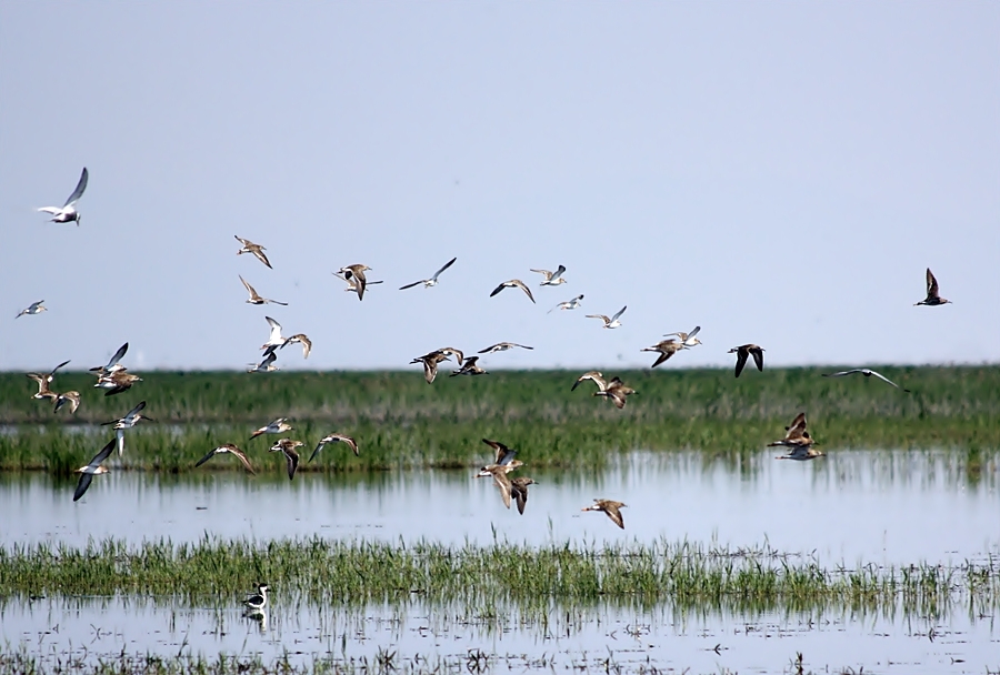 sultansazligi-suya-kavusuyor!