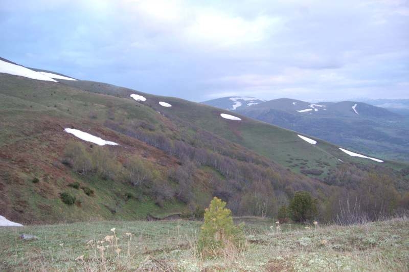 posof-ardahani
