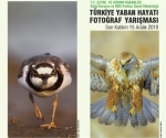 --turkiye-yaban-hayati-fotograf-yarismasina-katilim-icin-son-gun---