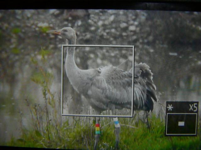 raziye-icin-gonullu-takima-ihtiyac-var!