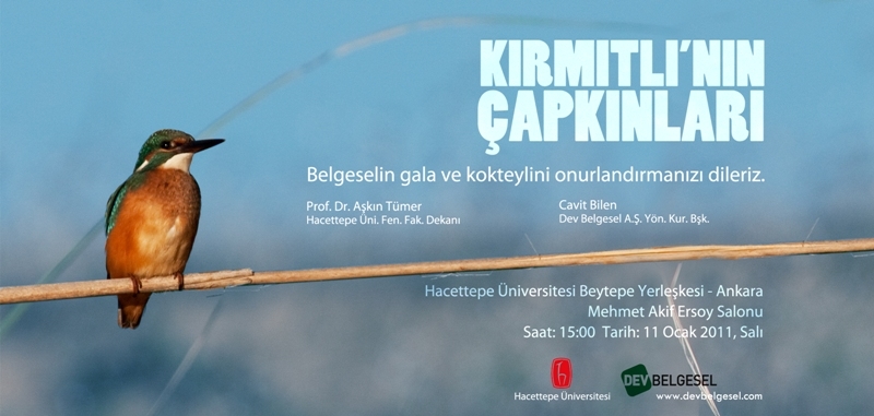 kirmitlinin-capkinlari---