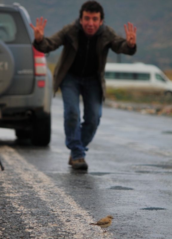 400--tur-ile-turkiye-rekoru!