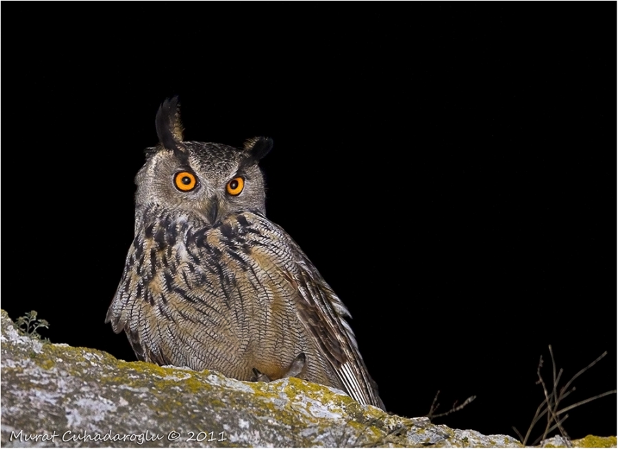 puhunun-da-tercihi-alisveris-merkezi!