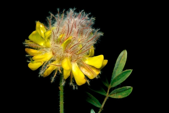 fatih-orbaydan-essiz-belgesel