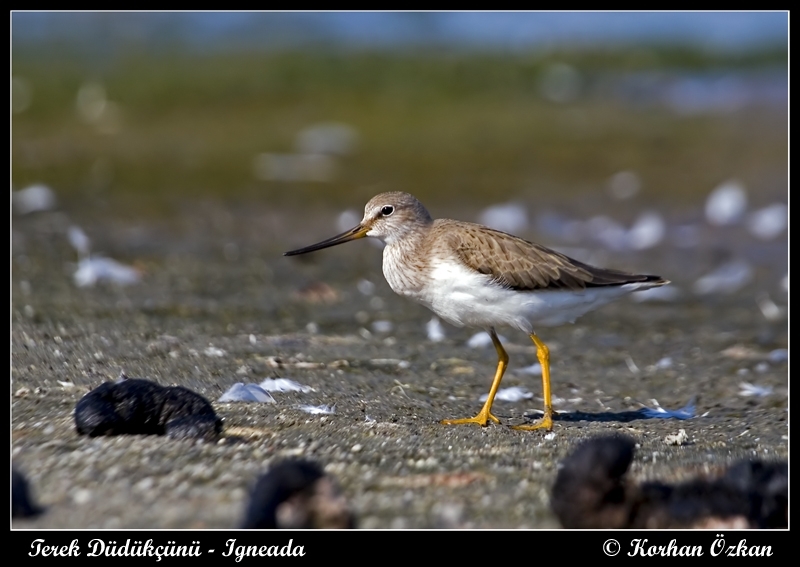 soner-bekir-den-3-yeni-tur-