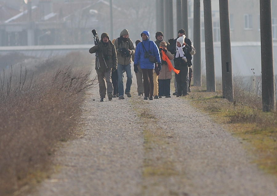 ikgt-buyuk-cekmece-golu-gozlemi