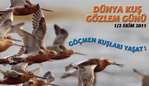 dunya-kus-gozlem-gunu-2011