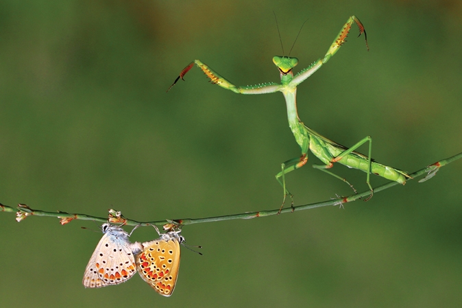 national-geographic-fotograf-yarismasi-sonuclandi