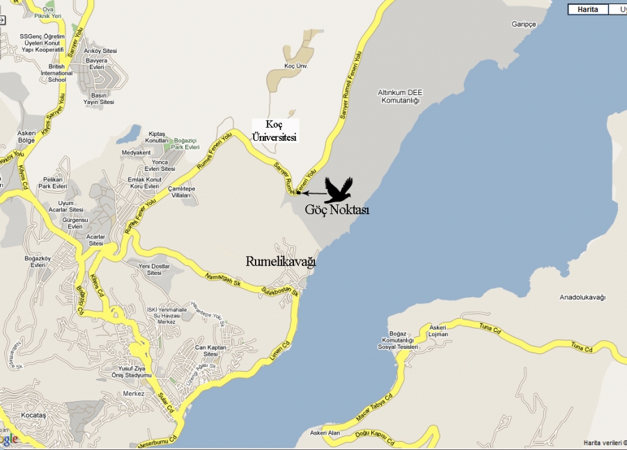 goc-basladi---