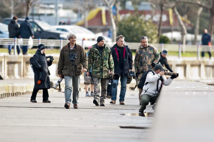 bir-guzelin-pesinde-onlarca-kus-paparazzi