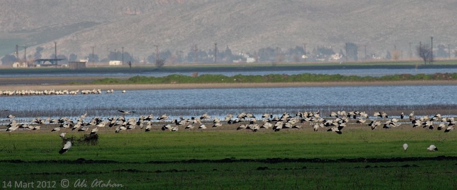 hatay-havaalani-gercek-sahiplerini-buldu