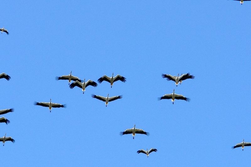 2-metre-karla-karsilastilar!