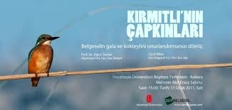 kirmitli-nin-capkinlari---