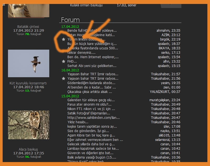 forumlarda-yildiz---