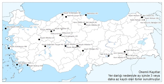 temmuz-kayitlari