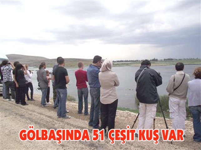 golbasinda-51-cesit-kus-var-