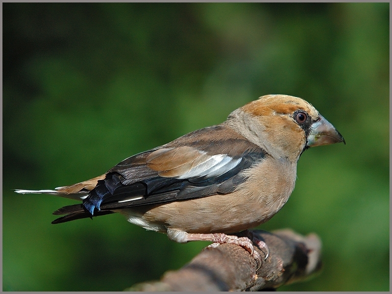 haftanin-degerlendirmesi