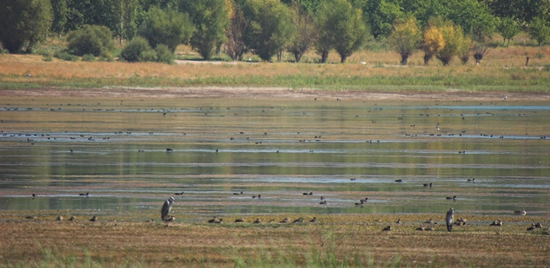 tohma-vadisi-gozlemi-malatya