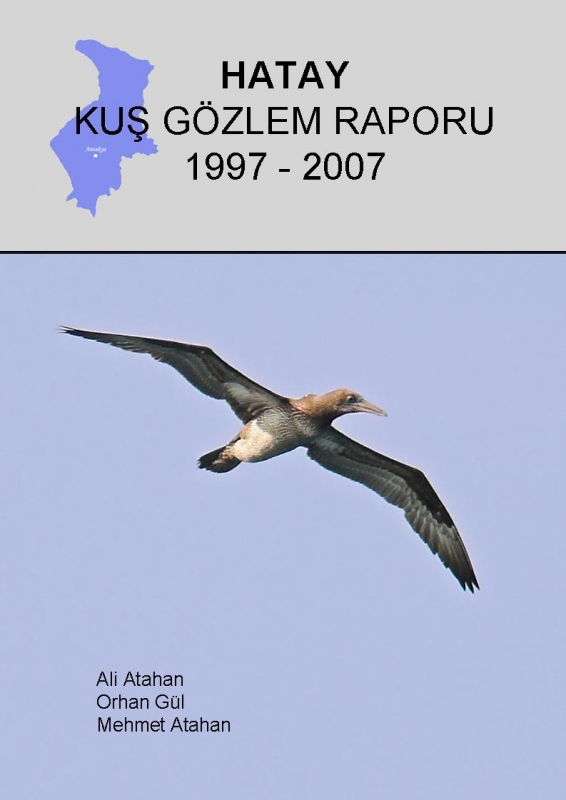 hatay-kus-gozlem-raporu-cikti