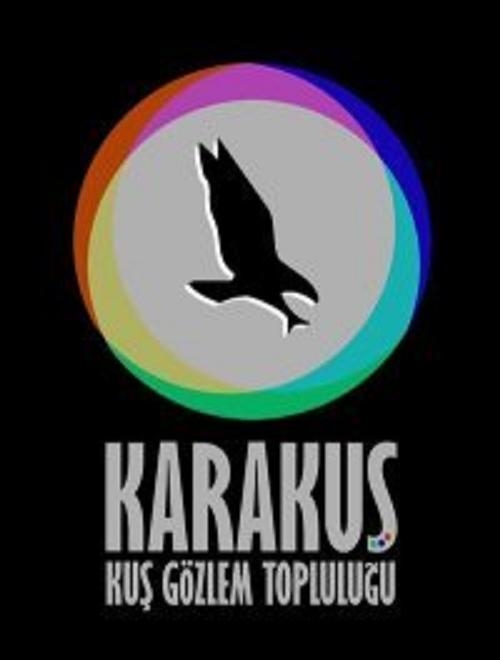 karakus-kus-gozlem-toplulugu-1--yasinda-zonguldak-sazkoyde