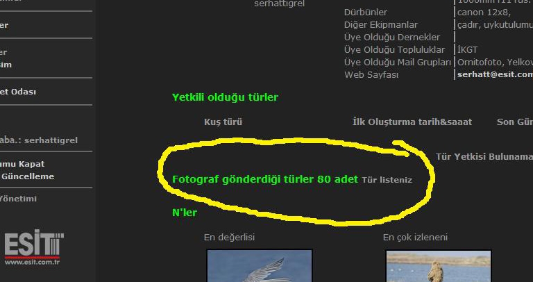 hangi-turleri-belgelediniz