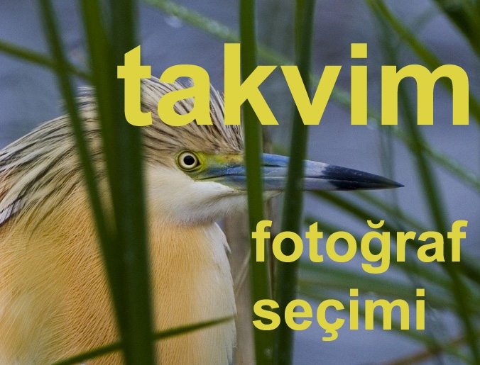 takvim-fotograflari