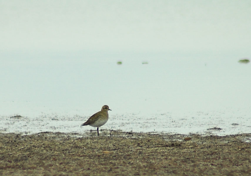 16-aralik-karakaya-gozlemi-malatya