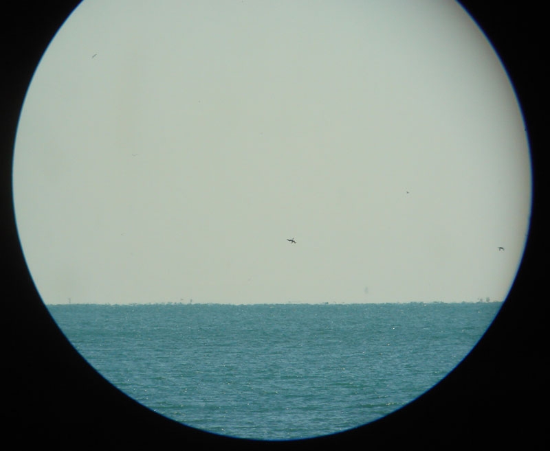 30-31-aralik-mersin-gozlemi