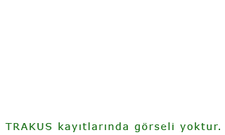 Macqueen`s Bustard