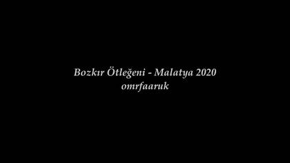 Bozkır Ötleğeni