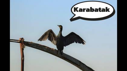 Karabatak