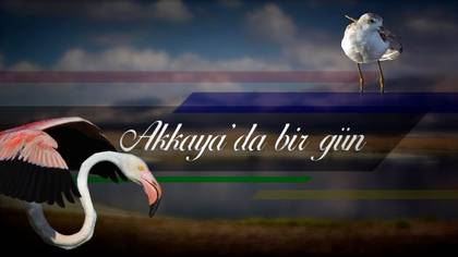 Akkaya\'da Bir Gün