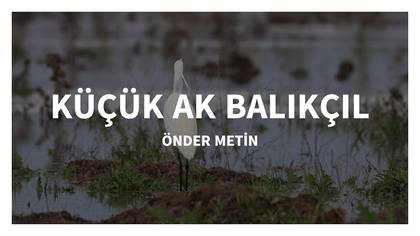 KÜÇÜK AKBALIKÇIL-ILGIN