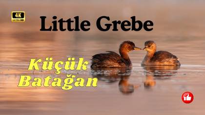 Küçük Batağanlar