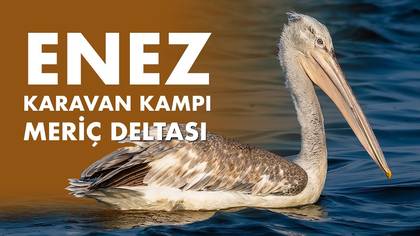 Enez Ekim Arazisi